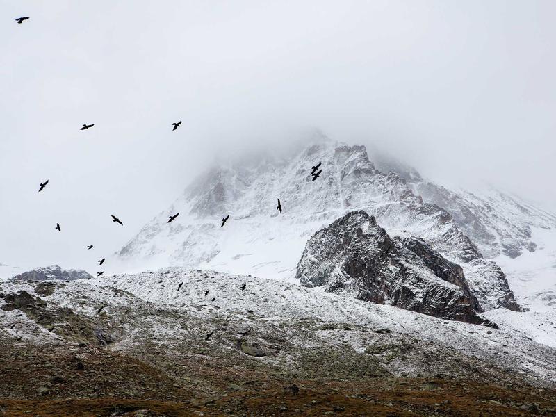 sudoku logical deduction